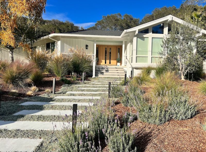 The renovated front garden with stone treads, lavender, and grasses