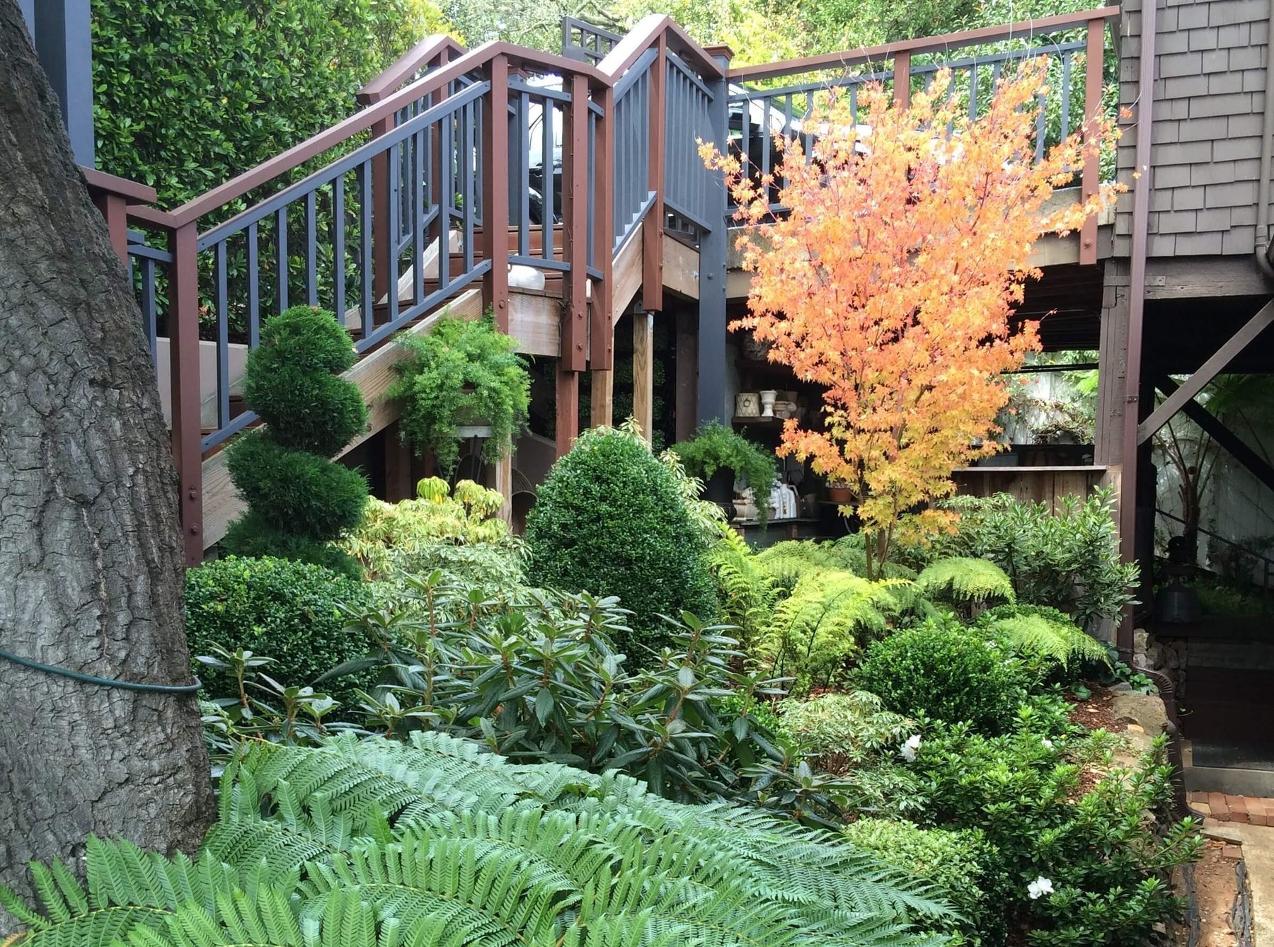 Timber pergola above a stone wall with construction-grade detailing